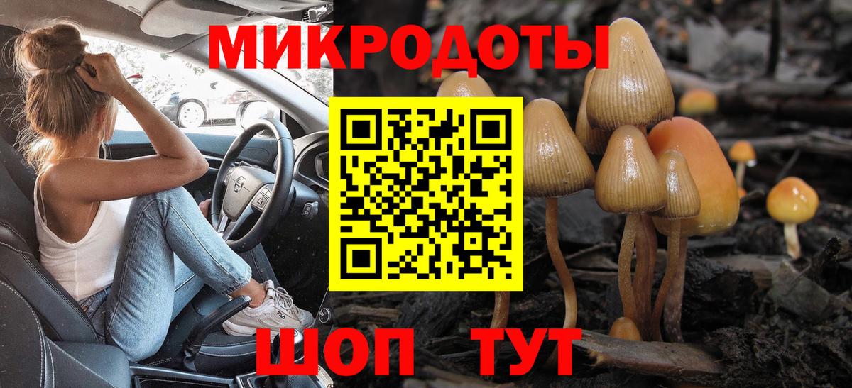 Касимов  Псилоцибиновые грибы прущие грибы  Вход с VPN 