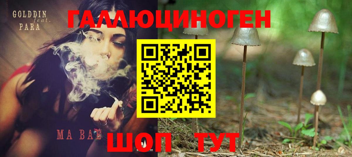 Галлюциногенные грибы мицелий Касимов